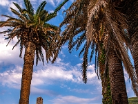 Budva